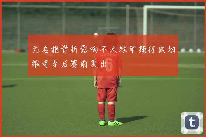 无名指骨折影响不大绿军期待武切维奇季后赛前复出